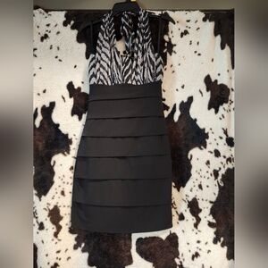 Sweet Storm Black and Gray Bold Zebra Pattern Dress